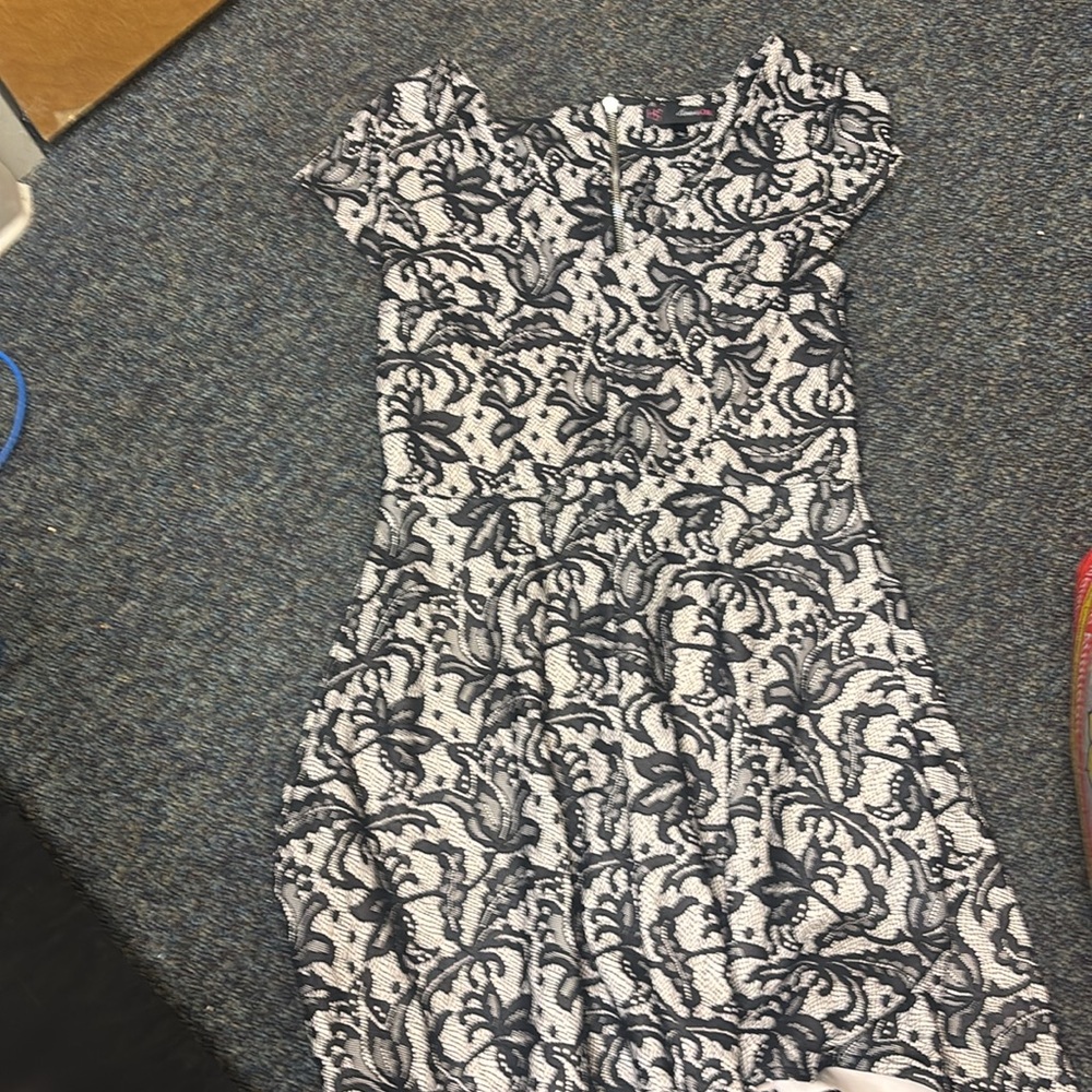 Elegant Lace-Trimmed Dress in Black and Cream